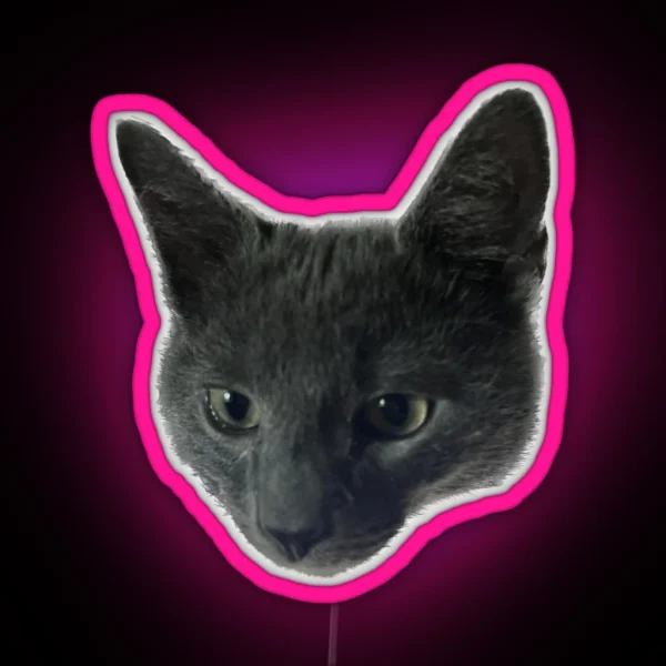 Little Grey Cat With Big Ears RGB Neon Sign