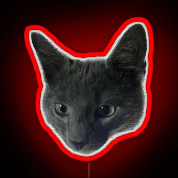 Little Grey Cat With Big Ears RGB Neon Sign