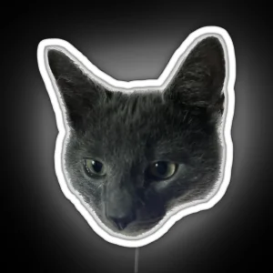 Little Grey Cat With Big Ears RGB Neon Sign