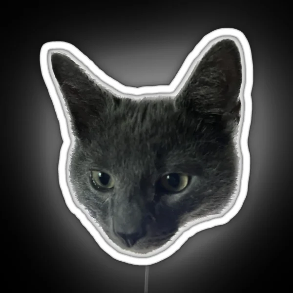 Little Grey Cat With Big Ears RGB Neon Sign