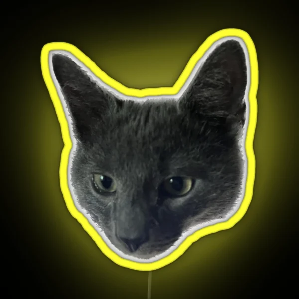 Little Grey Cat With Big Ears RGB Neon Sign