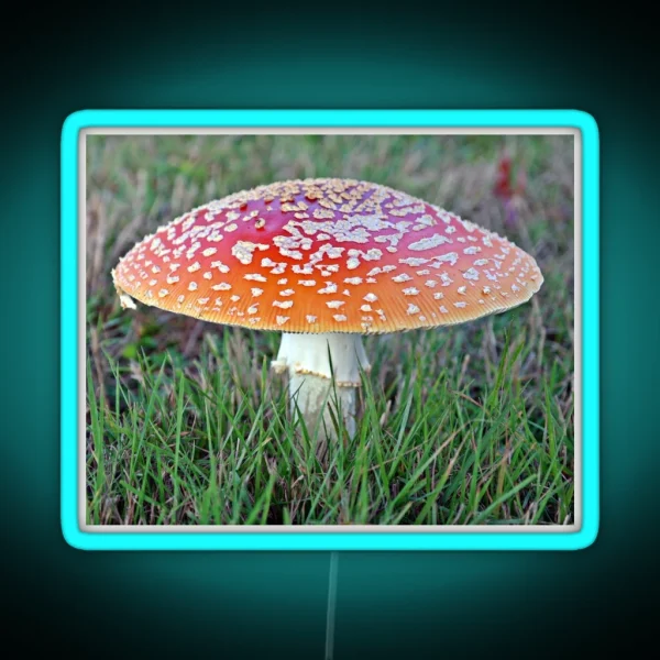 Lonely Fly Agaric RGB Neon Sign