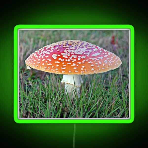 Lonely Fly Agaric RGB Neon Sign