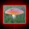 rgb-neon-sign-lonely-fly-agaric-mushroom-red