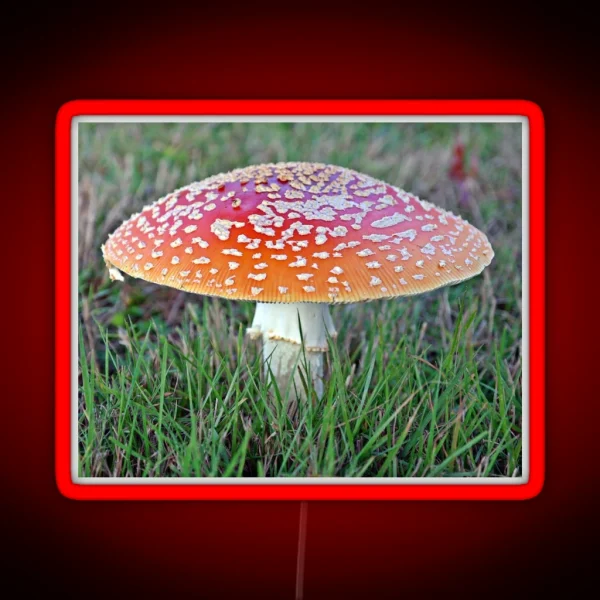 Lonely Fly Agaric RGB Neon Sign