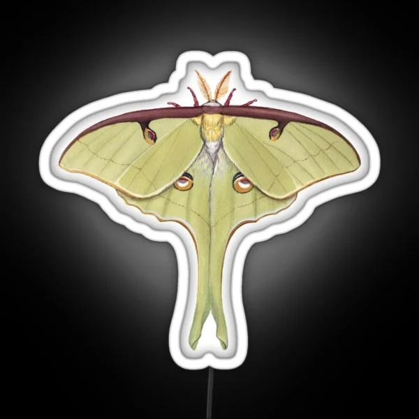 Luna Moth Actias Luna RGB Neon Sign