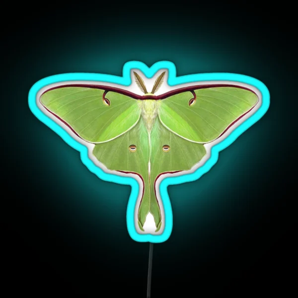 Luna Moth Painting RGB Neon Sign