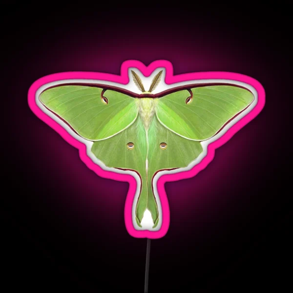 Luna Moth Painting RGB Neon Sign