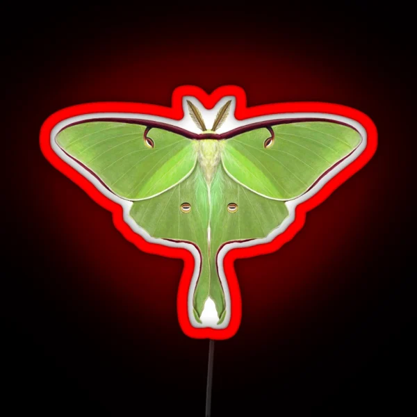 Luna Moth Painting RGB Neon Sign