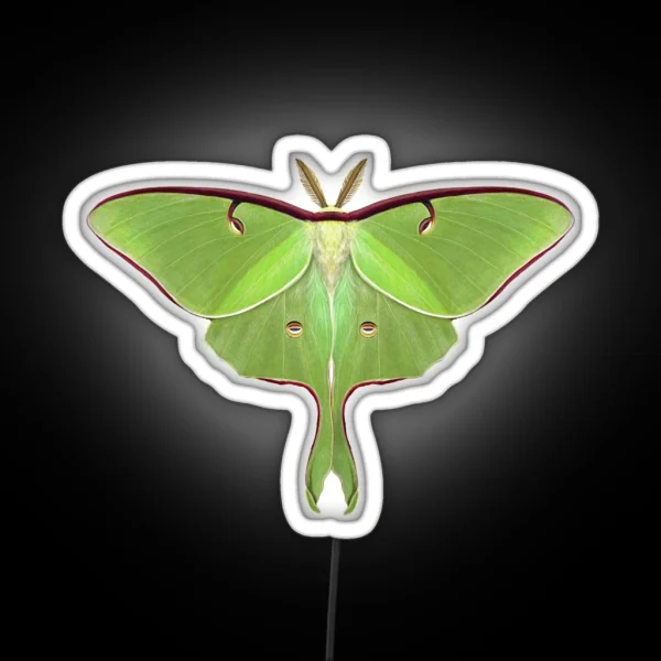 Luna Moth Painting RGB Neon Sign