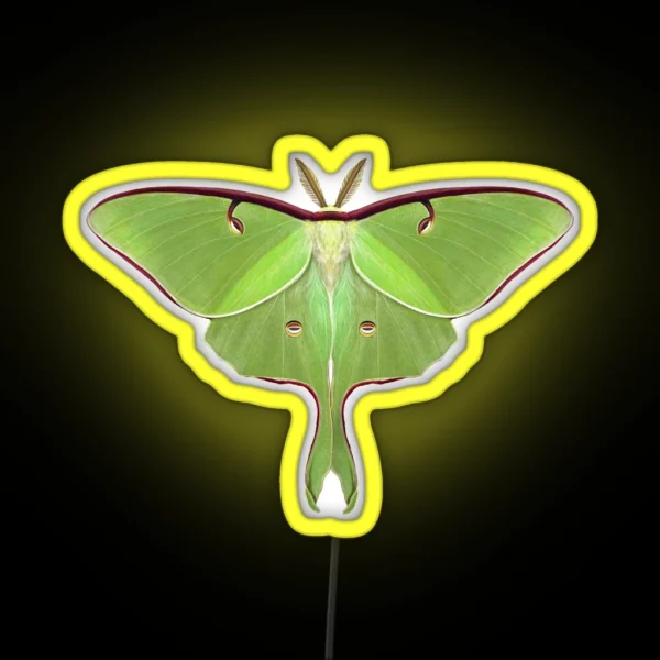 Luna Moth Painting RGB Neon Sign