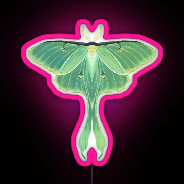 Luna Moth RGB Neon Sign