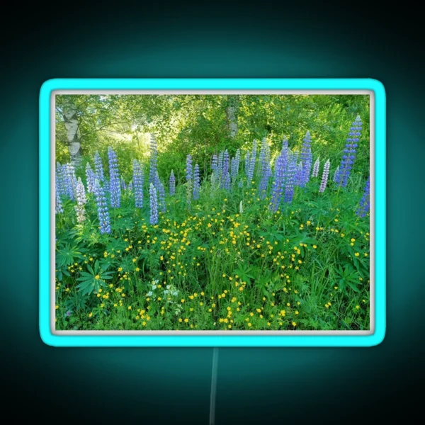Lupinos III Lupin Swedish Spring Forest RGB Neon Sign