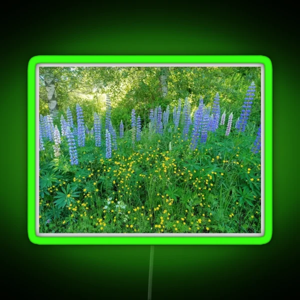 Lupinos III Lupin Swedish Spring Forest RGB Neon Sign