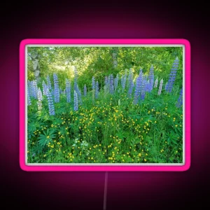 Lupinos III Lupin Swedish Spring Forest RGB Neon Sign