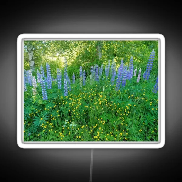 Lupinos III Lupin Swedish Spring Forest RGB Neon Sign