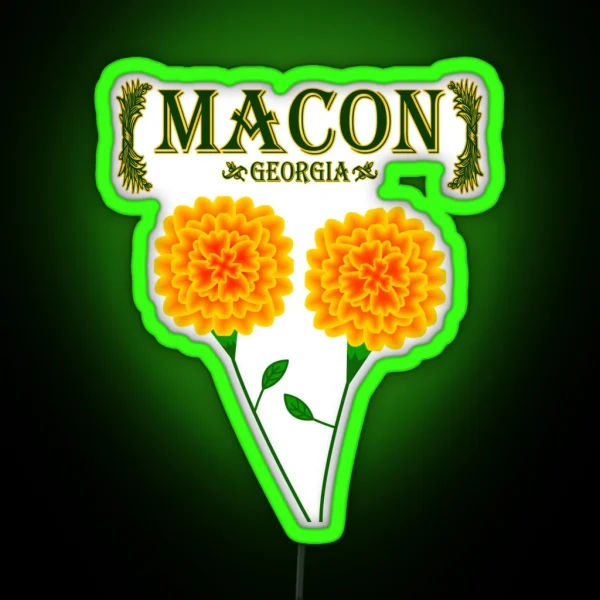 Macon Georgia RGB Neon Sign