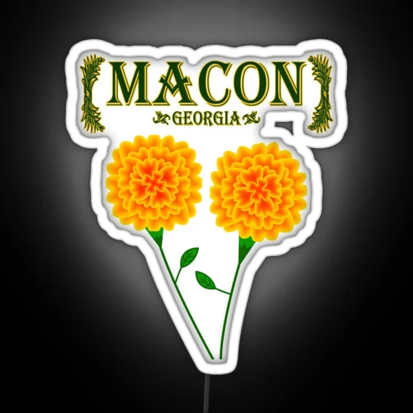 Macon Georgia RGB Neon Sign