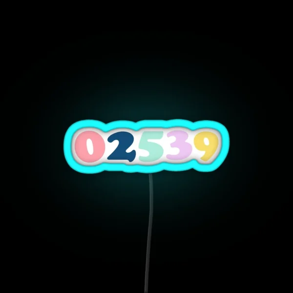Martha S Vineyard Zip Code RGB Neon Sign