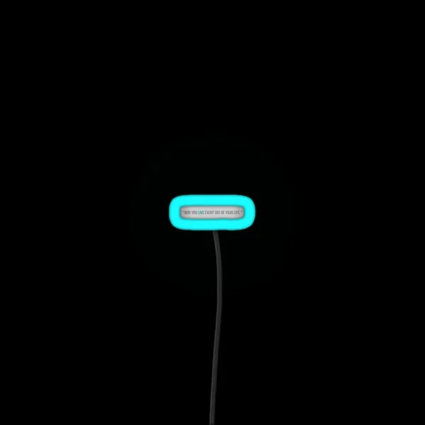 May You Live Everyday Of Your Life RGB Neon Sign