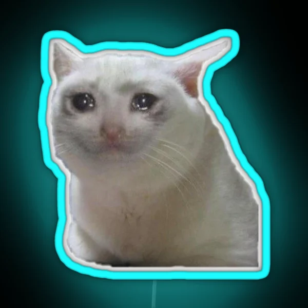 Meme Cat Sad RGB Neon Sign