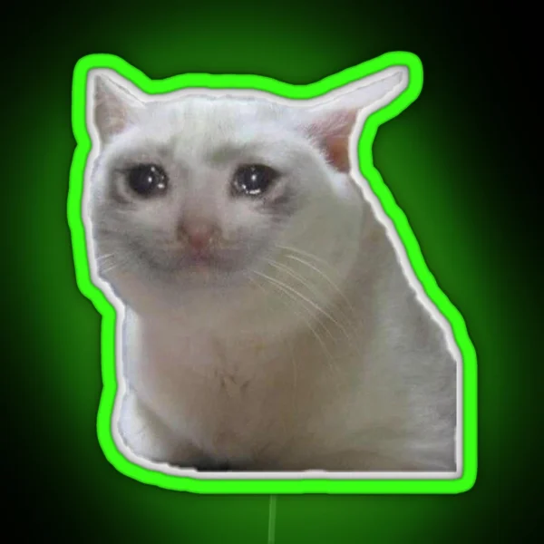 Meme Cat Sad RGB Neon Sign