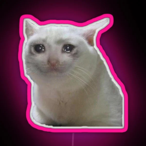 Meme Cat Sad RGB Neon Sign