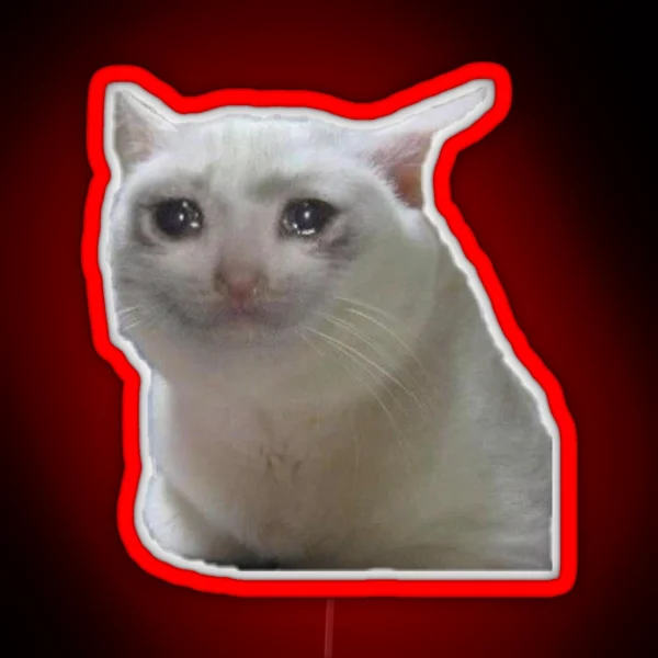 Meme Cat Sad RGB Neon Sign
