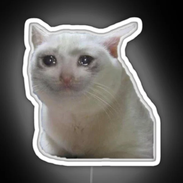 Meme Cat Sad RGB Neon Sign