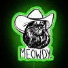texas-cat-meme-neon-sign-meowdy