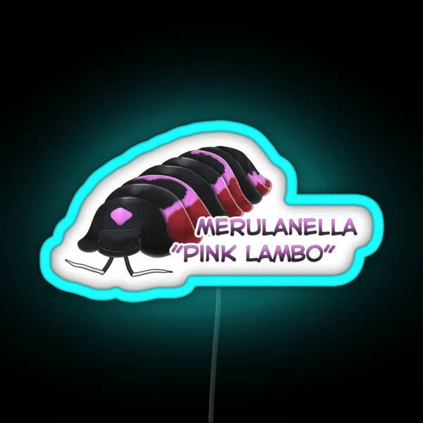 Merulanella Pink Lambo Name Tag RGB Neon Sign