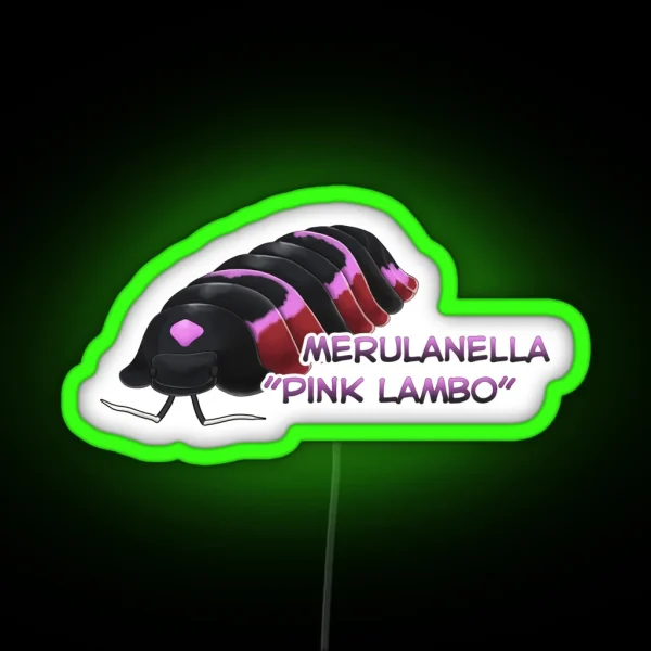 Merulanella Pink Lambo Name Tag RGB Neon Sign