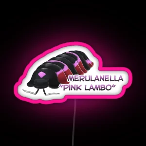 Merulanella Pink Lambo Name Tag RGB Neon Sign