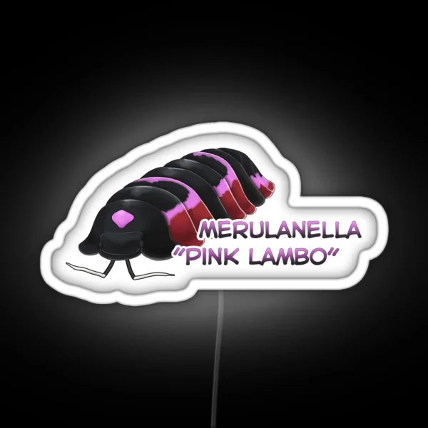 Merulanella Pink Lambo Name Tag RGB Neon Sign