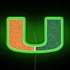 miami glitter neon sign rgb green