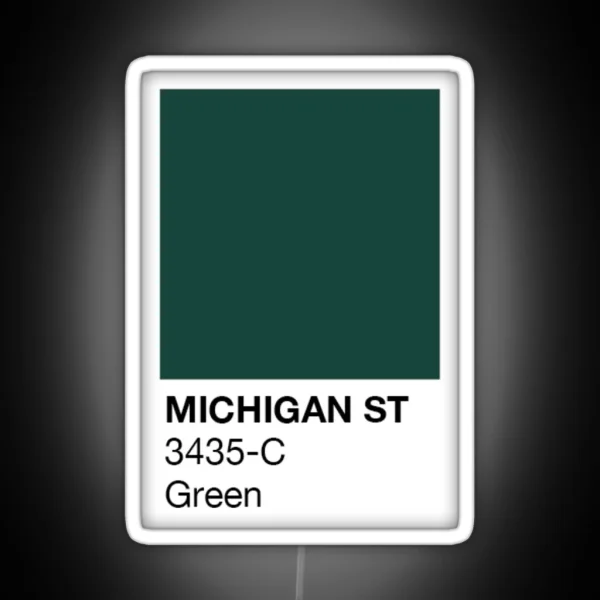 Michigan Pantone Swatch RGB Neon Sign