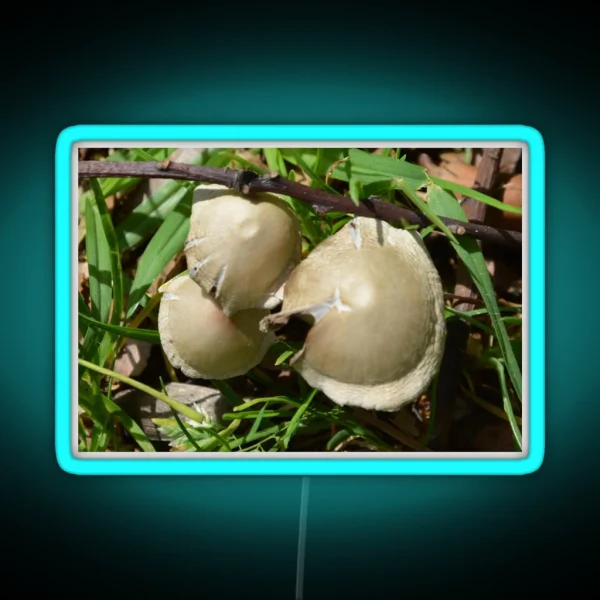 MINI TOADSTOOLS RGB Neon Sign