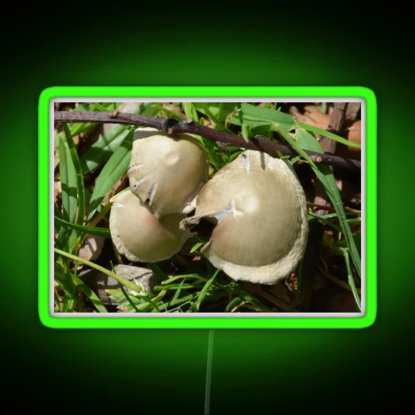 MINI TOADSTOOLS RGB Neon Sign