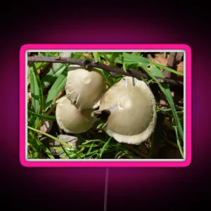 MINI TOADSTOOLS RGB Neon Sign