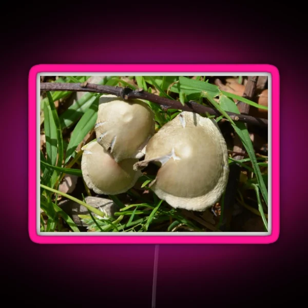 MINI TOADSTOOLS RGB Neon Sign