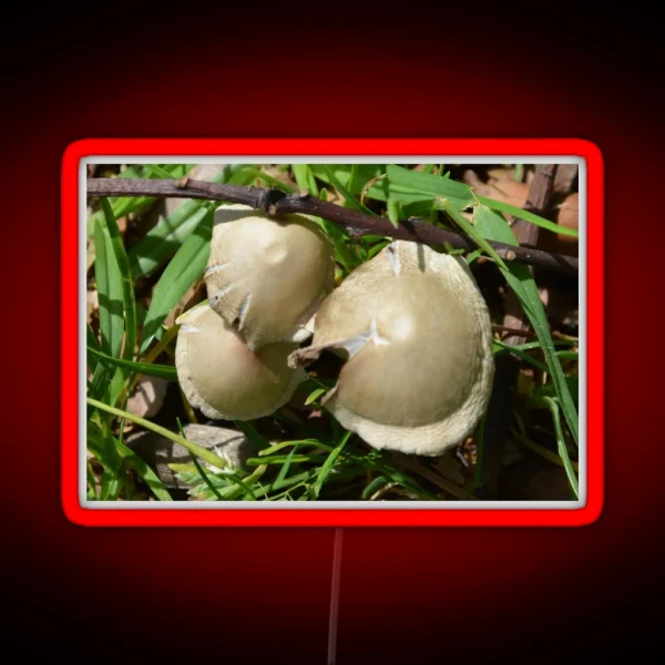 MINI TOADSTOOLS RGB Neon Sign