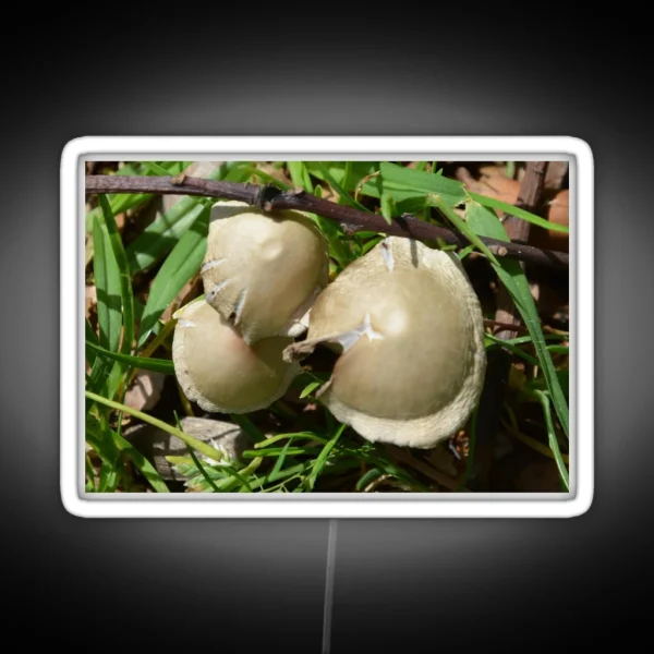 MINI TOADSTOOLS RGB Neon Sign