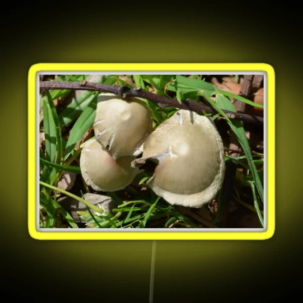 MINI TOADSTOOLS RGB Neon Sign