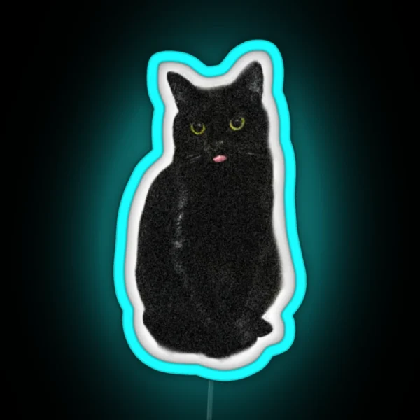 Minimalistic Black Cat Sweet Cute Kitty RGB Neon Sign