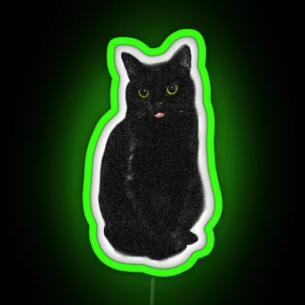 Minimalistic Black Cat Sweet Cute Kitty RGB Neon Sign