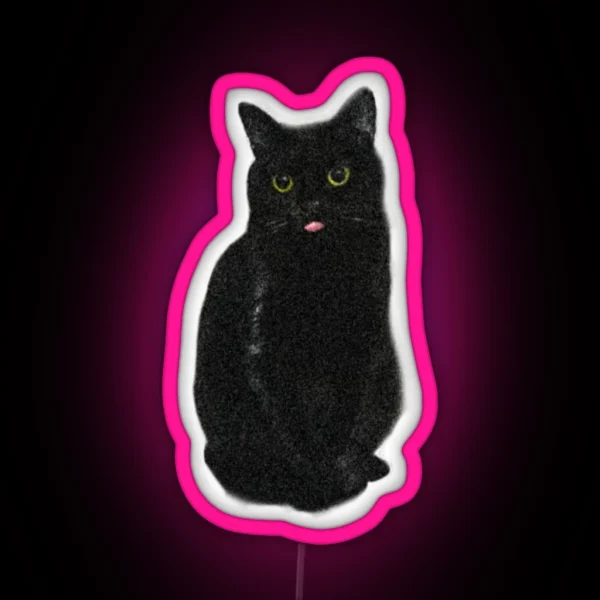 Minimalistic Black Cat Sweet Cute Kitty RGB Neon Sign