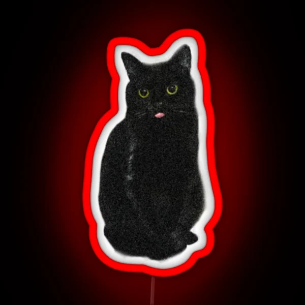 Minimalistic Black Cat Sweet Cute Kitty RGB Neon Sign