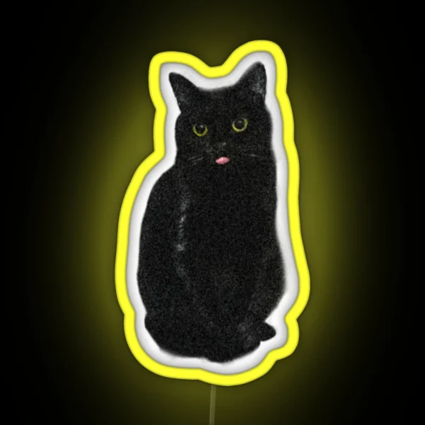 Minimalistic Black Cat Sweet Cute Kitty RGB Neon Sign