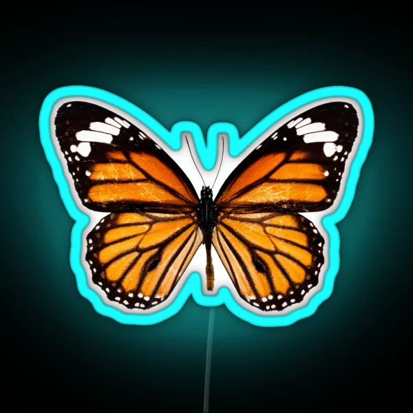Monarch Butterfly Led RGB Neon Sign
