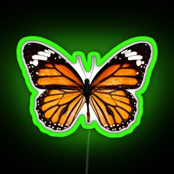 Monarch Butterfly Led RGB Neon Sign